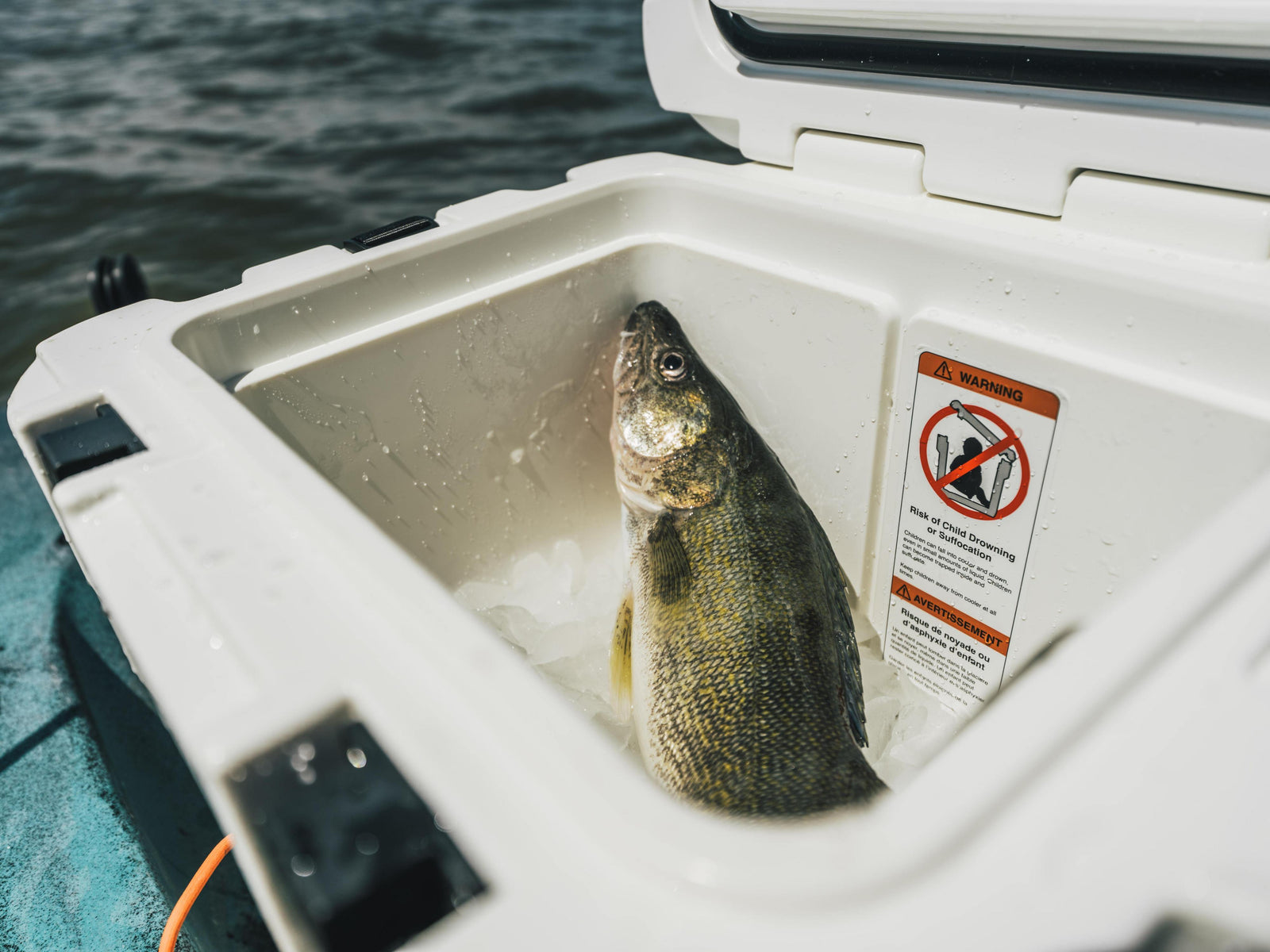 A freshly caught fish resting in ice inside an open white cooler on a boat, with water visible in the background and a warning label on the cooler door.