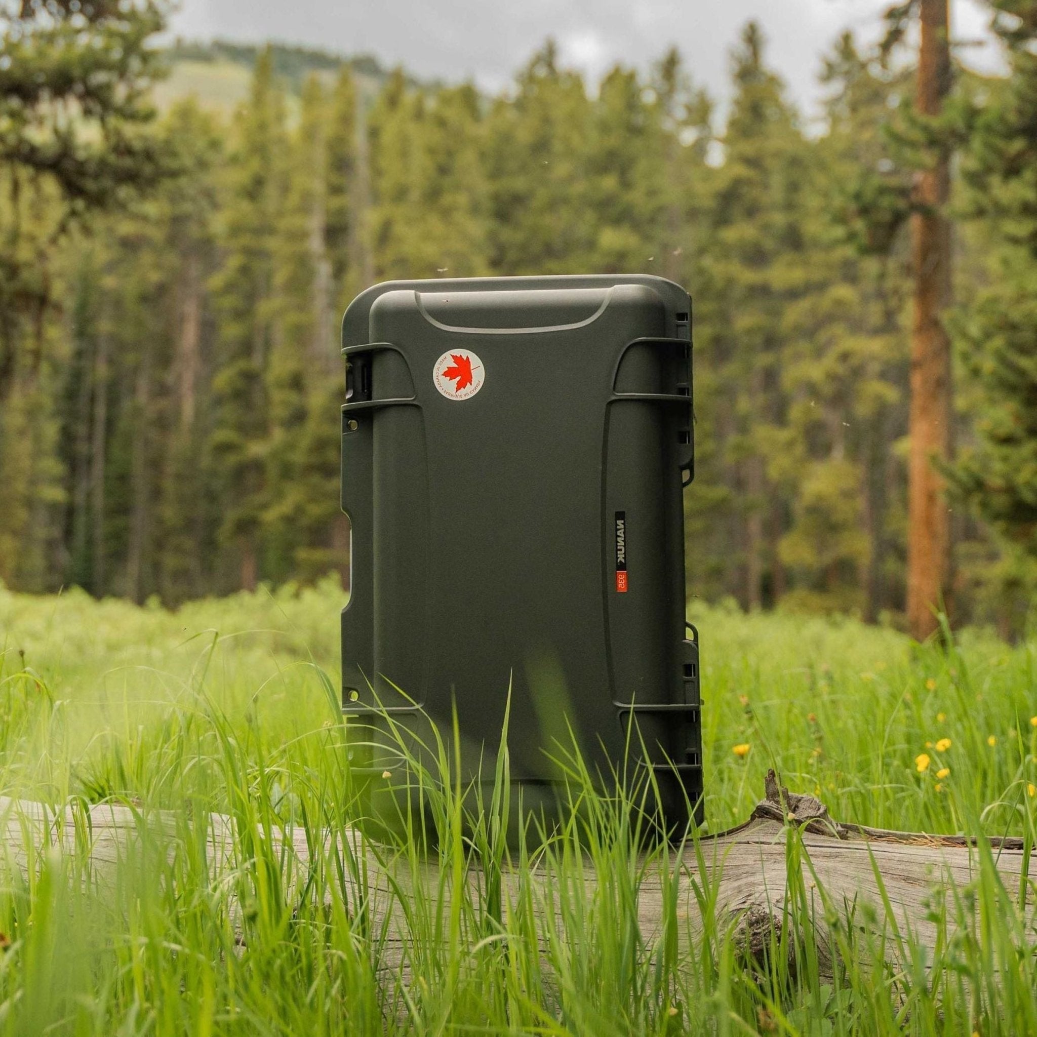 #color_olive #color_olive