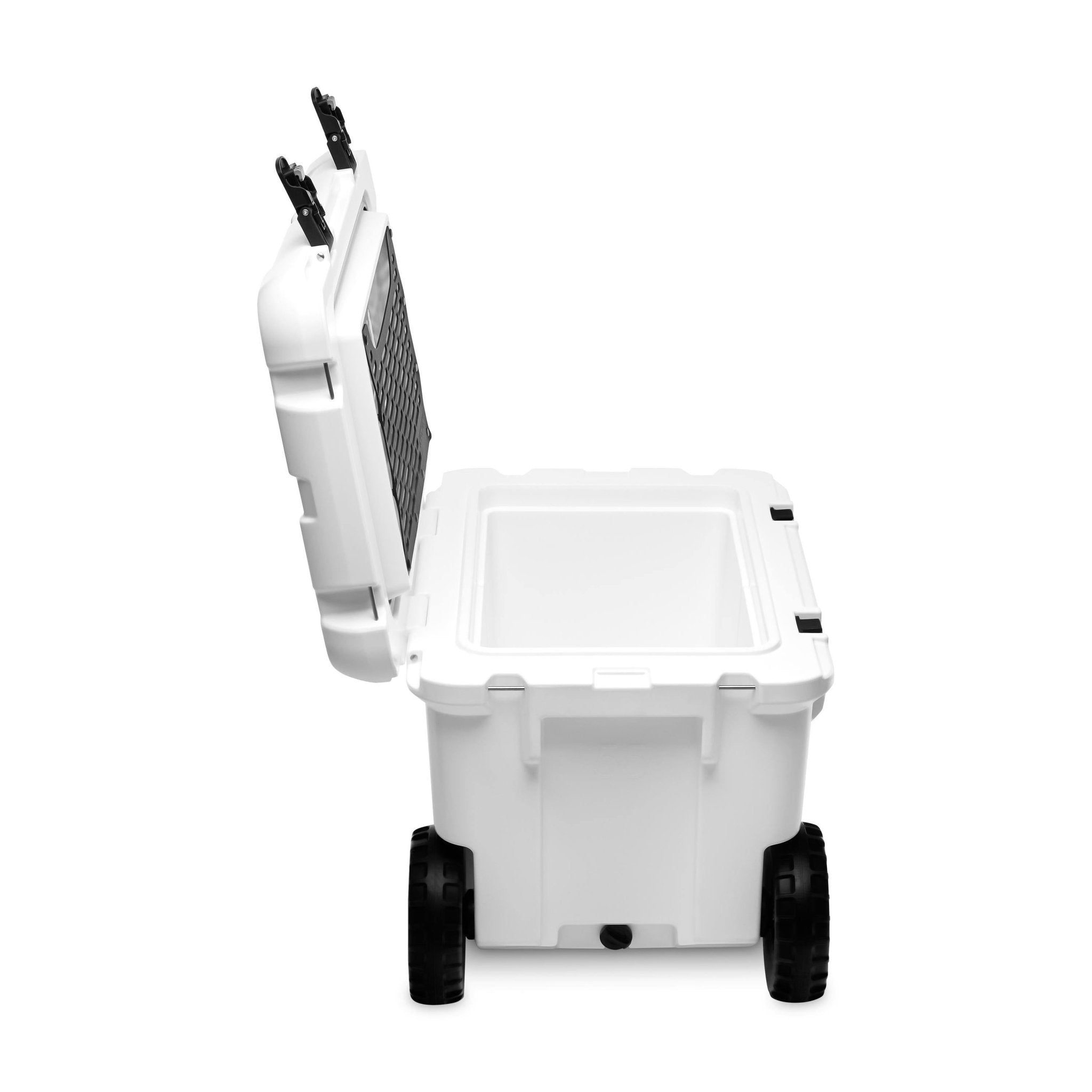 #color_white